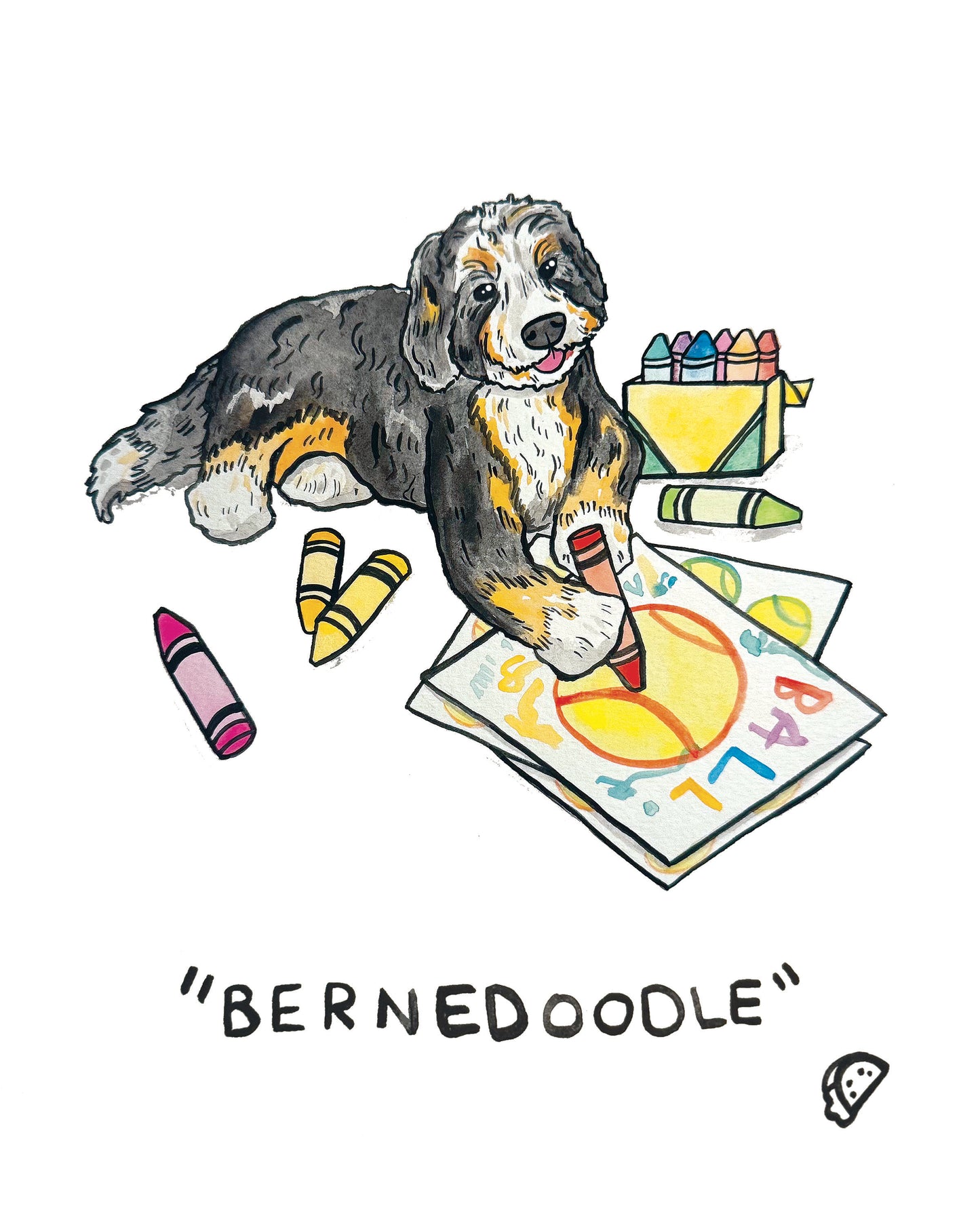 "Bernedoodle" Original